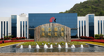 九五至尊电子游戏药业
