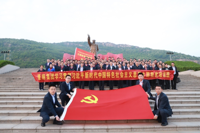 九五至尊电子游戏药业